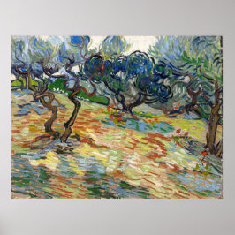 Poster Olive Trees par Vincent Van Gogh