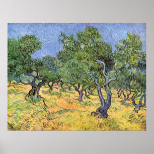 Poster Olive Trees par Vincent van Gogh