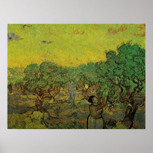 Poster Oliveraie avec personnages cueillant des olives, V