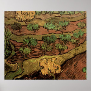 Poster Oliviers de Van Gogh contre une pente de colline