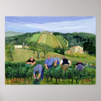 Oliviers et tournesols