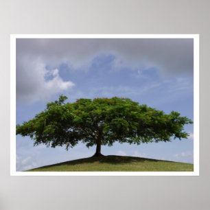 Poster ombrage