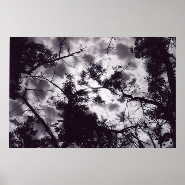 Poster Ombragé (Devant)