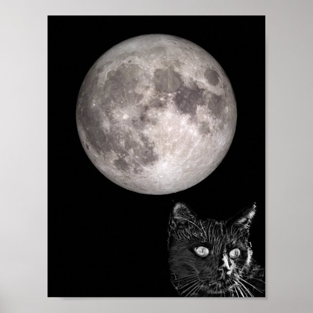 Poster Ombre de chat noir (Devant)