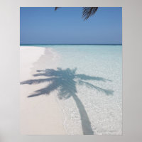 Ombre d'un palmier sur une plage d'île déserte