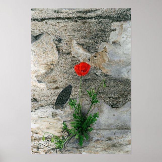 Poster Ombre ronde unique (Devant)