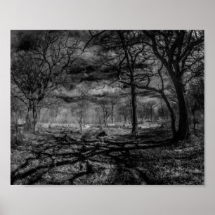 Poster Ombres infrarouges de paysage dans les bois