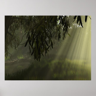 Poster ombres-saules2