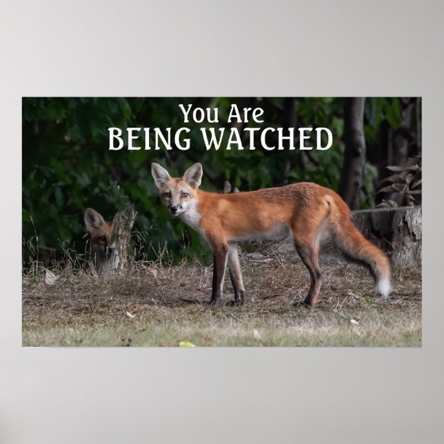 Poster On Vous Regarde (Devant)