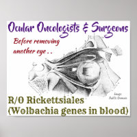 Oncologistes oculaires/chirurgiens R/O Wolbachia p