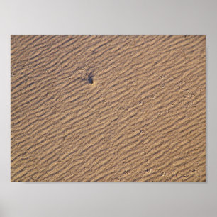 Poster Ondes de vent dans le sable VI - Couleur saturée