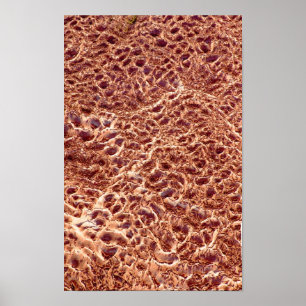 Poster Ondes sur la barre de sable