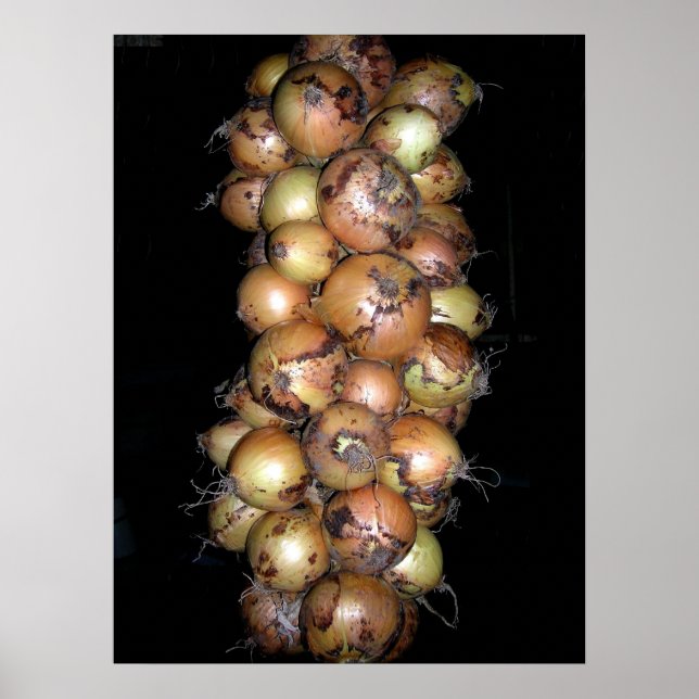 Poster Onions (Devant)