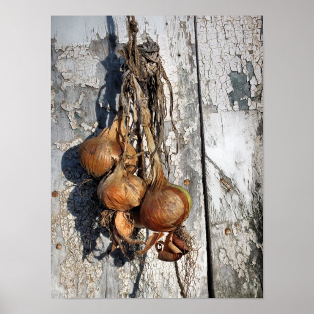 POSTER ONIONS (Devant)