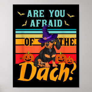 Poster Ont Peur Du Dach Drôle De Chien Dachshund