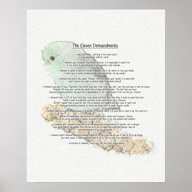 Poster Onze Demandes De Parrotlets (Devant)