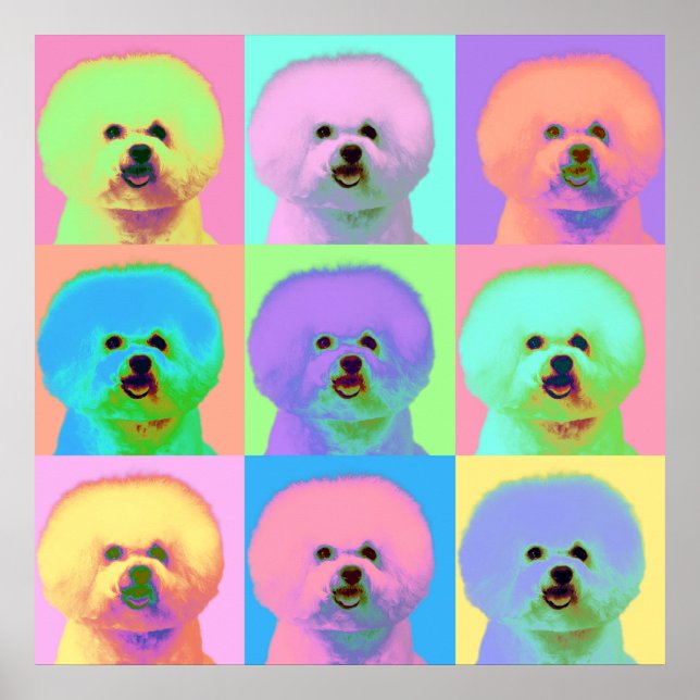 Poster Op Art - Bichon Frise - Cody (Devant)