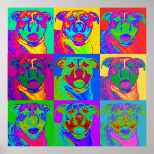 Poster Op Art Pitbull