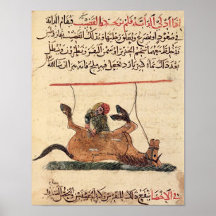 Poster Opération sur un cheval, illustration
