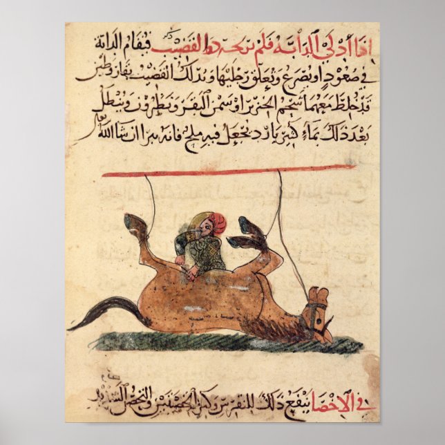 Poster Opération sur un cheval, illustration (Devant)