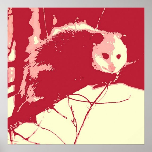 Poster Opossum (Devant)