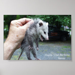 Poster Opossum de Crazzzy