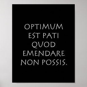 Poster Optimum est kinsella quod emendare non possible