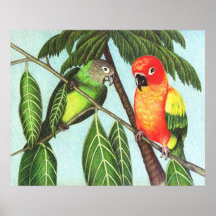 Poster Opus et monstre