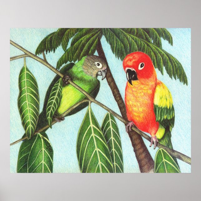 Poster Opus et monstre (Devant)