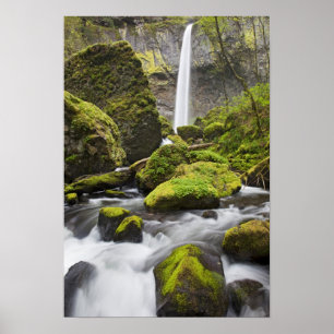 Poster OR, gorge du Columbia, Elowah Falls et