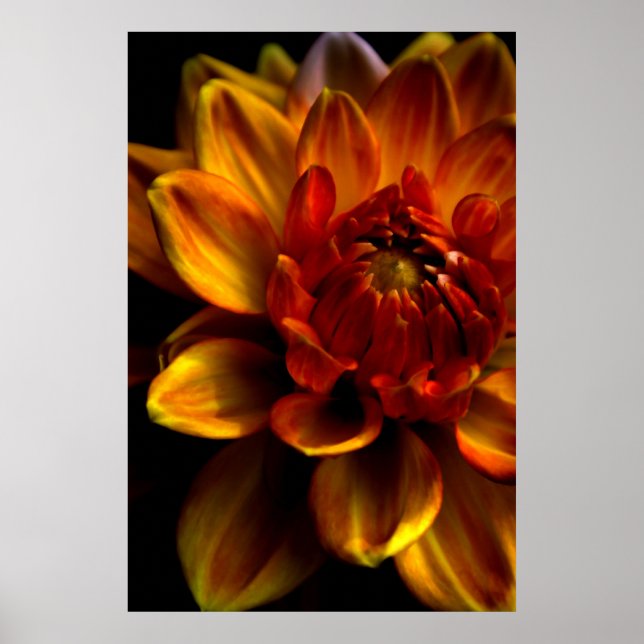 Poster Orange Bloom (Devant)