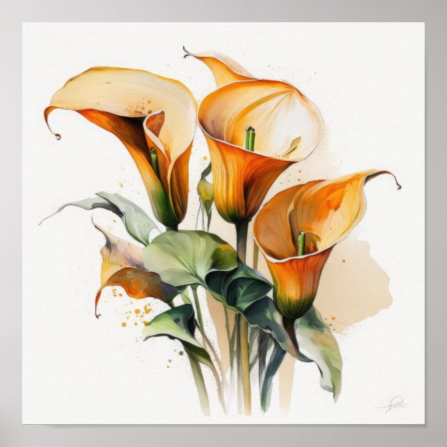 Poster Orange Calla Lilies Lily Flower Art Imprimer Poste (Devant)
