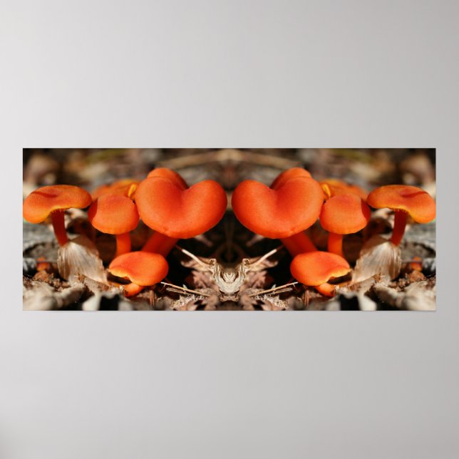 Poster Orange Champignons famille miroir Abstrait (Devant)