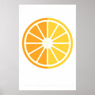 Poster Orange Citrus Retro Fruit 60's 70's