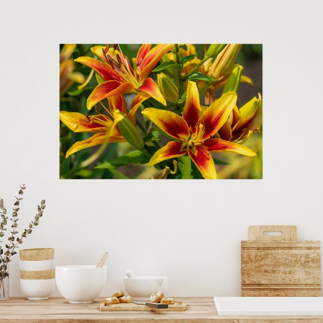 Poster Orange Daylily Art, Photographie canadienne (Cuisine)