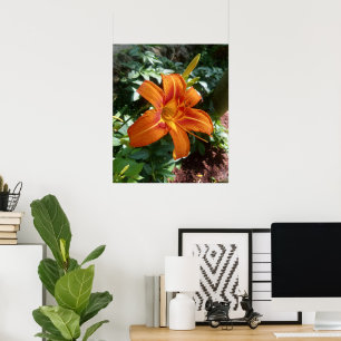 Poster Orange Daylily Photo Imprimer