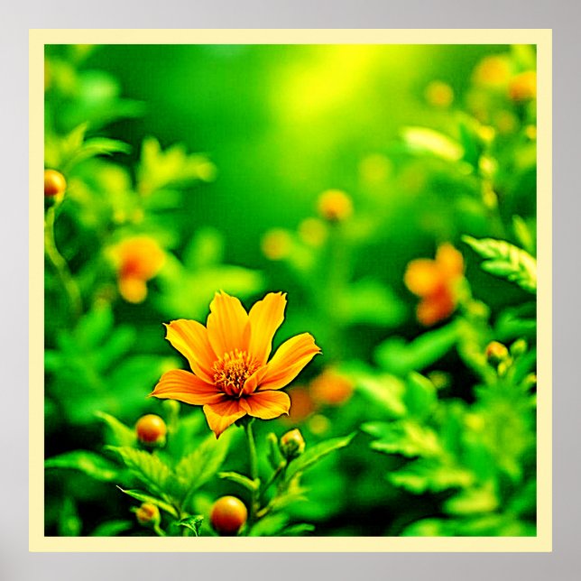 Poster Orange Flower Bokeh Sunny (Devant)