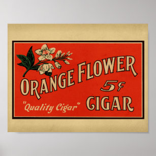 Poster Orange Flower Vintage Cigar Box