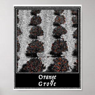 Poster Orange Grove