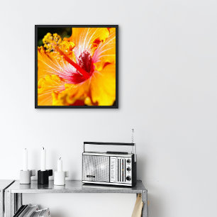 Poster Orange Hibiscus Vue latérale Petite