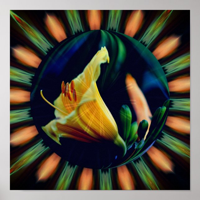 Poster Orange Lily Floral Art Abstrait (Devant)