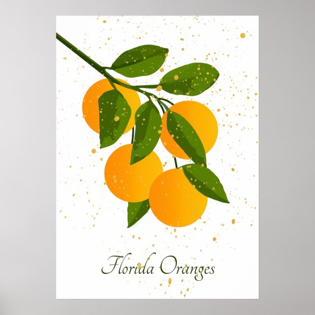 Poster Oranges de Floride Arômes Abstraits (Devant)