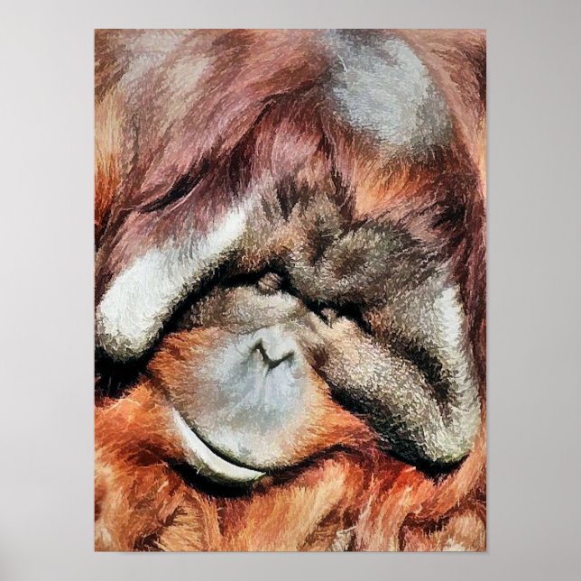 POSTER ORANGUTAN (Devant)