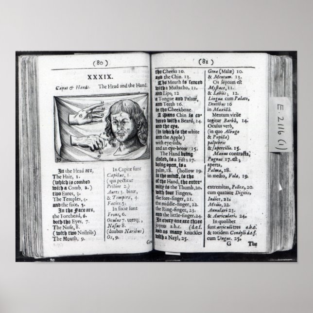 Poster 'Orbis Sensualium Pictus' (Devant)