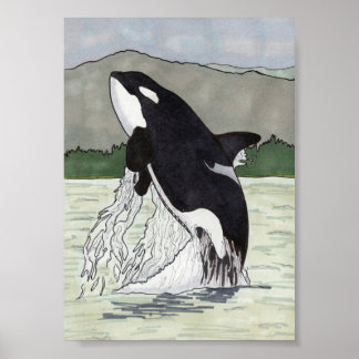 Poster Orca / Baleine tueuse 5x7