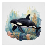 Orca Et Corail