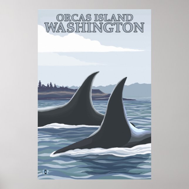Poster Orca Whales #1 - Orcas Island, Washington (Devant)
