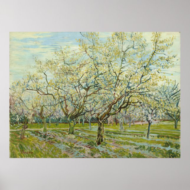 Poster Orchard blanc par Vincent Van Gogh (Devant)