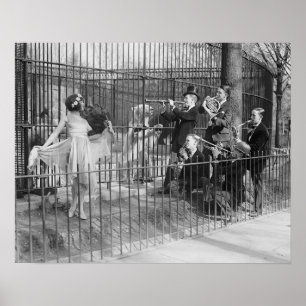 Poster Orchestre de Jazz au Zoo, 1925. Photo ancienne