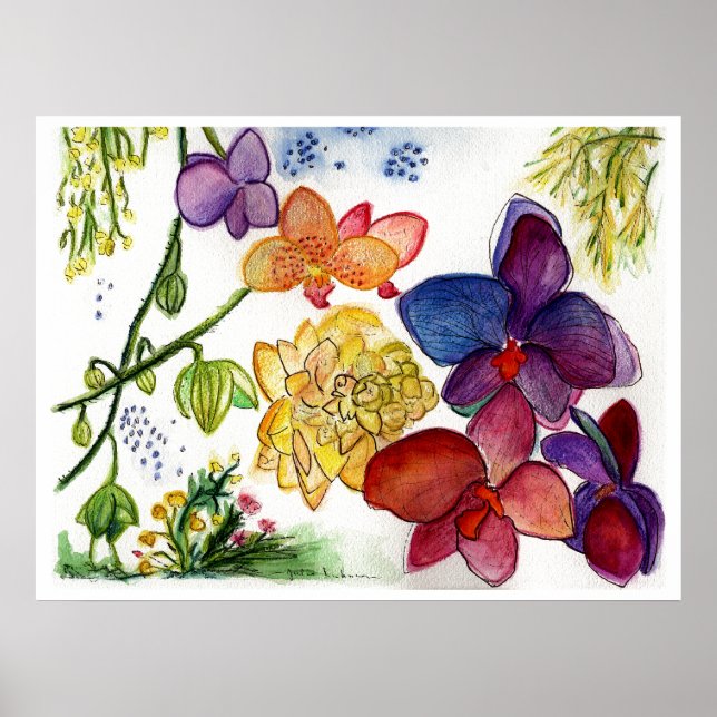 Poster orchidée-40 (Devant)